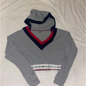 Tommy Hilfiger retro cropped hoodie